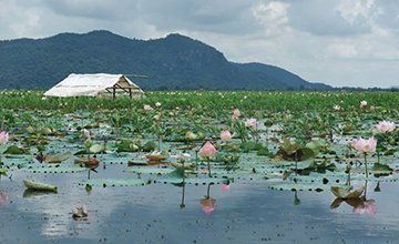 Kamping Puoy Lake